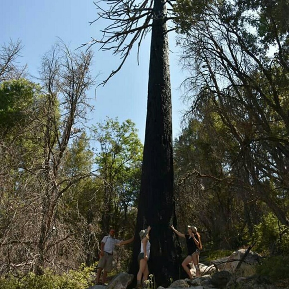 Meet your Posher, Emily - Picture 5 of 6